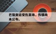 金年会登录入口-巴黎奥运受伤离场，伤情尚未公布。