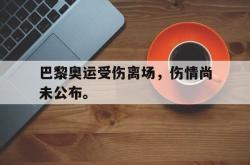 金年会登录入口-巴黎奥运受伤离场，伤情尚未公布。