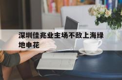 金年会app 综合-深圳佳兆业主场不敌上海绿地申花